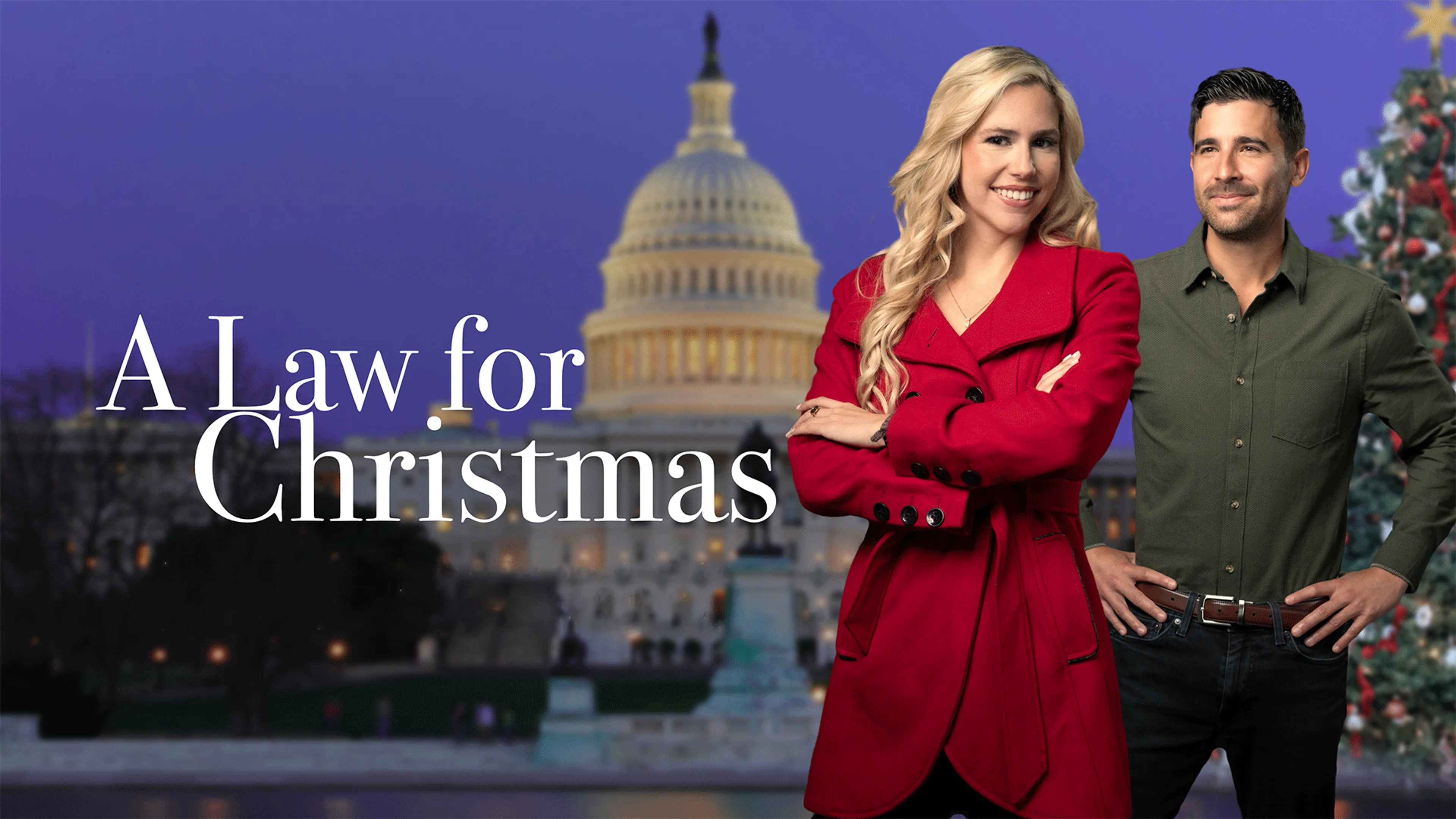 A Law for Christmas poster